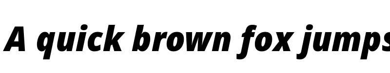 Preview of Noto Sans Display Black Italic font