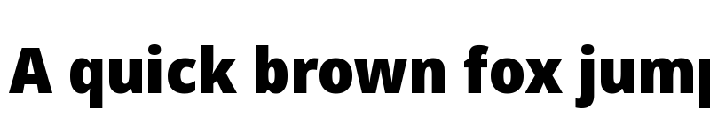 Preview of Noto Sans Display Black font