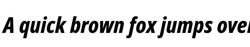 Preview of Noto Sans Display Condensed ExtraBold Italic font