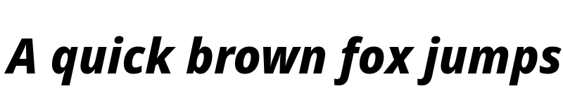 Preview of Noto Sans Display ExtraBold Italic font