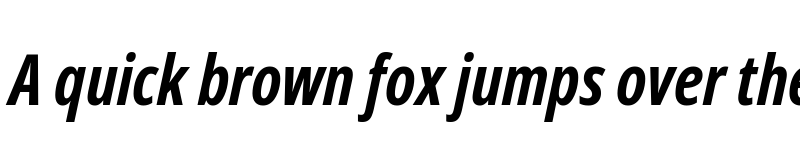 Preview of Noto Sans Display ExtraCondensed Bold Italic font