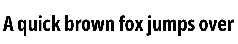 Preview of Noto Sans Display ExtraCondensed Bold font