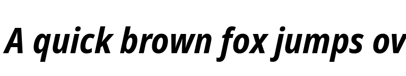 Preview of Noto Sans Display SemiCondensed Bold Italic font