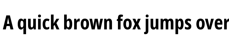 Preview of Noto Sans ExtraCondensed Bold font