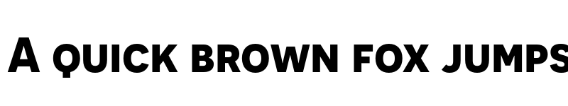 Preview of Novecento sans Bold font