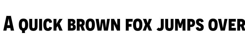 Preview of Novecento sans narrow Bold font