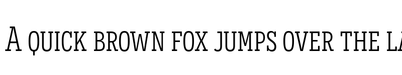 Preview of Novecento slab condensed Book font