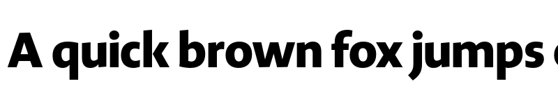 Preview of Novel Display Black font