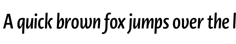 Preview of Novel Display Cmp Bold It font