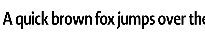 Preview of Novel Display Cmp Bold font