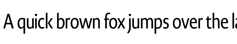 Preview of Novel Display Cmp Medium font