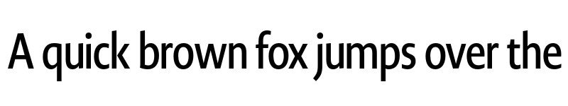 Preview of Novel Display Cmp SemiBd font