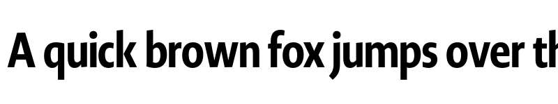 Preview of Novel Display Cmp XBold font