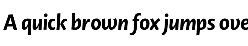 Preview of Novel Display XBold It font