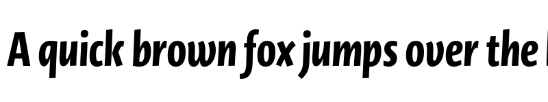 Preview of Novel Display XCmp Black It font