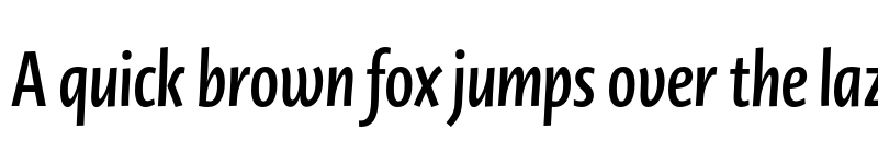 Preview of Novel Display XCmp Bold It font