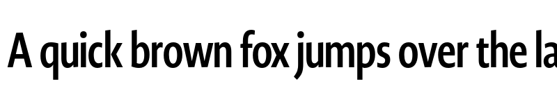 Preview of Novel Display XCmp Bold font