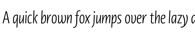 Preview of Novel Display XCmp Light It font