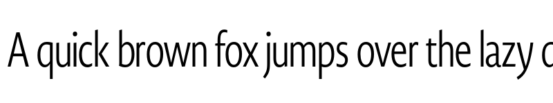 Preview of Novel Display XCmp Light font