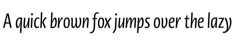 Preview of Novel Display XCmp Medium It font