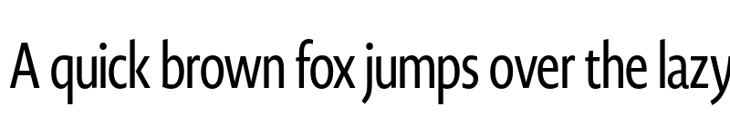 Preview of Novel Display XCmp Medium font