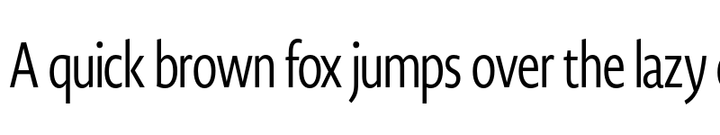 Preview of Novel Display XCmp Regular font