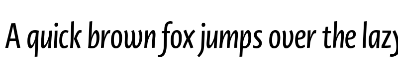 Preview of Novel Display XCmp SemiBd It font