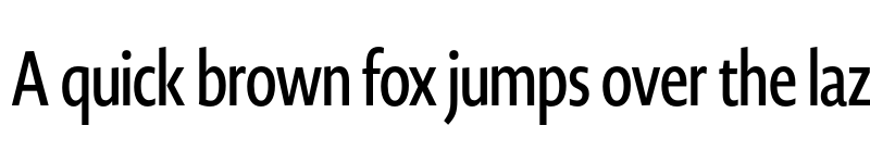 Preview of Novel Display XCmp SemiBd font