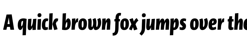 Preview of Novel Display XCmp XBlack It font