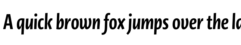 Preview of Novel Display XCmp XBold It font