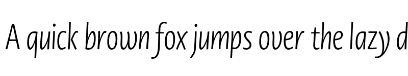 Preview of Novel Display XCmp XLight It font