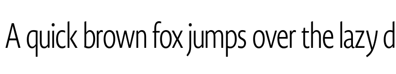 Preview of Novel Display XCmp XLight font