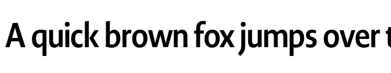 Preview of Novel Display XCnd Bold font