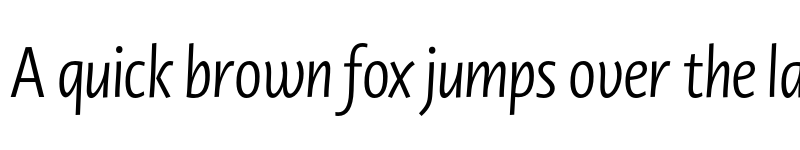 Preview of Novel Display XCnd Italic font