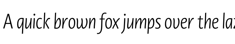 Preview of Novel Display XCnd Light It font