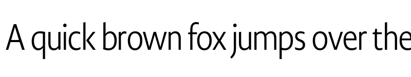 Preview of Novel Display XCnd Light font