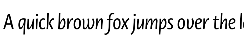 Preview of Novel Display XCnd Medium It font