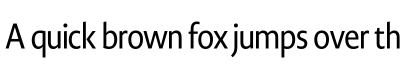 Preview of Novel Display XCnd Medium font