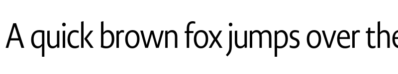 Preview of Novel Display XCnd Regular font