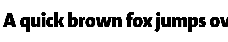 Preview of Novel Display XCnd XBlack font