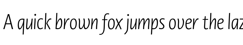 Preview of Novel Display XCnd XLight It font