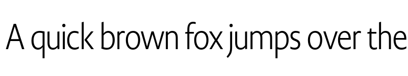 Preview of Novel Display XCnd XLight font