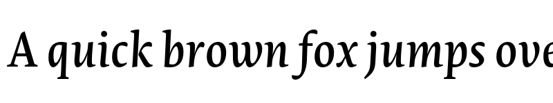 Preview of Novel Pro Medium It font