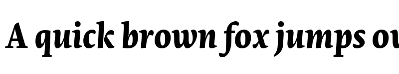 Preview of Novel Pro XBold It font