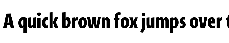 Preview of Novel Sans Ar Cmp XBold font