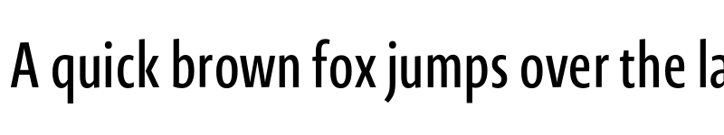 Preview of Novel Sans Ar XCmp Medium font