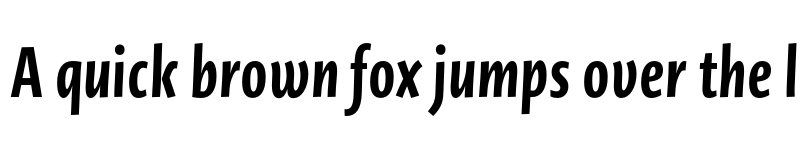 Preview of Novel Sans Cy XCmp Bold It font