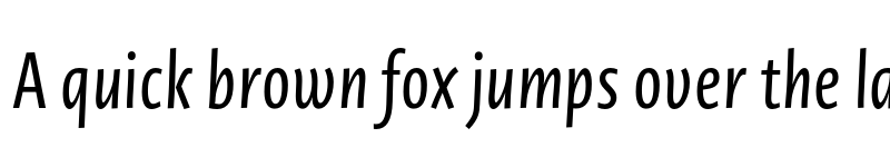Preview of Novel Sans Cy XCmp Italic font