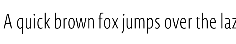 Preview of Novel Sans Cy XCmp XLight font