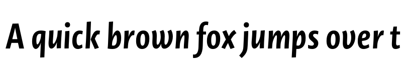 Preview of Novel Sans Cy XCnd Bold It font